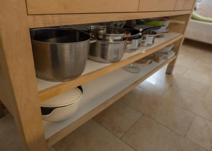 Very Old House * Ptice