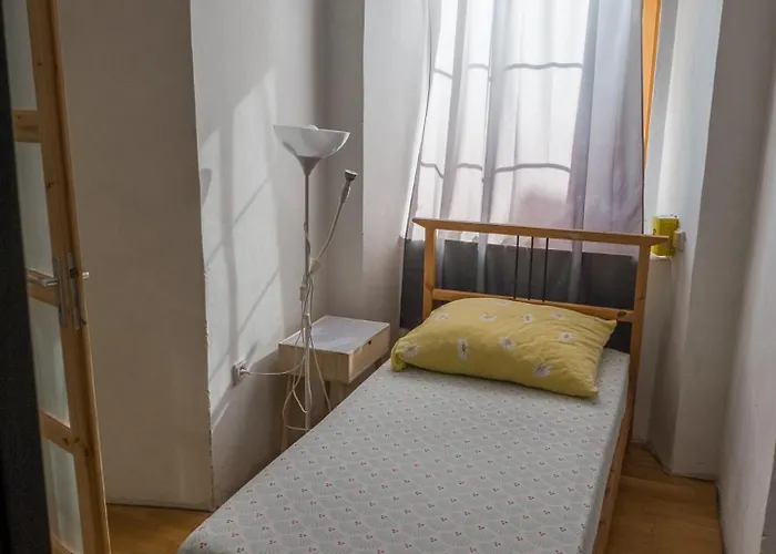 Very Old House * Ptice