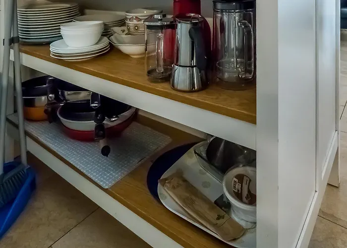 Very Old House * Ptice