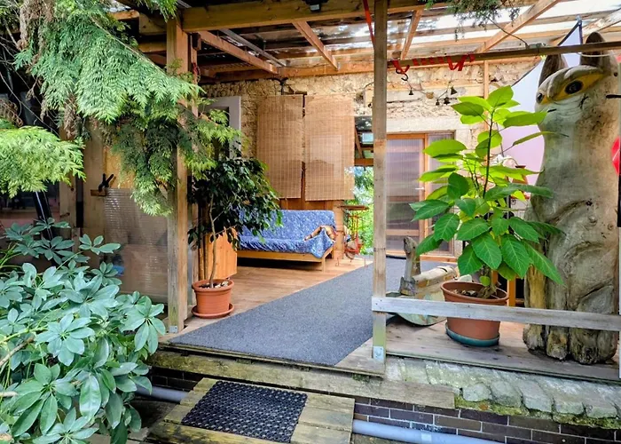 Very Old House * Ptice